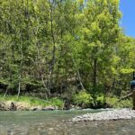 Private Fishing & Nature Experience in Hokkaido - The Value of This Experience