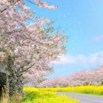 PRIVATE Flexible Tour Cruise Ship international ferry terminal - Detailed Breakdown of the Itinerary