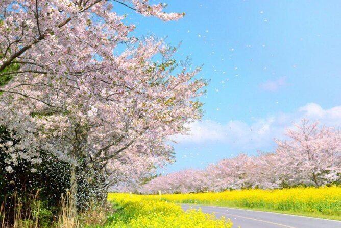 PRIVATE Flexible Tour Cruise Ship international ferry terminal - Detailed Breakdown of the Itinerary