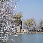 Private Forbidden City and Tiananmen with Summer Palace Tour - How the Experience Comes Together