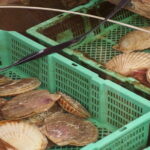 Private Full Day Guided Tour In Hakodate - The Sum Up