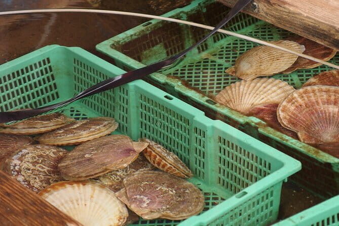 Private Full Day Guided Tour In Hakodate - The Sum Up