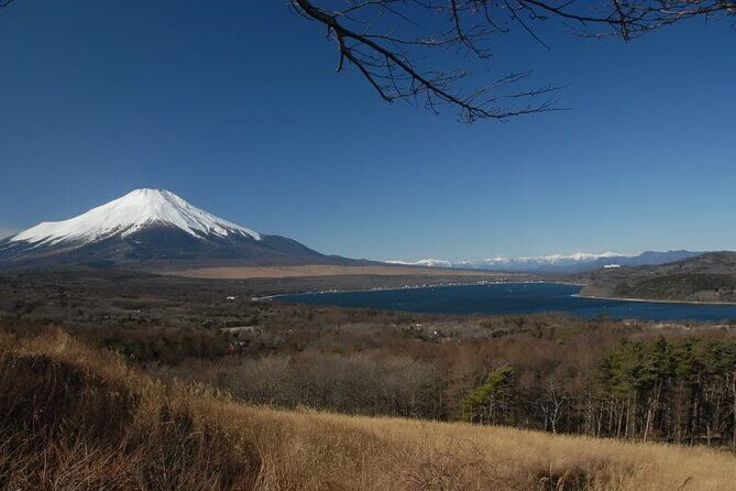 Private Full-Day Guided Tour in Mount Fuji Lakes - An In-Depth Look: What to Expect on This Mount Fuji Lakes Tour