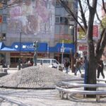 Private Full-Day Guided Tour in the City of Kobe - Who Will Love This Tour?