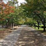 Private Full Day Himeji and Kobe Day Tour - Summary: Why Choose This Tour?