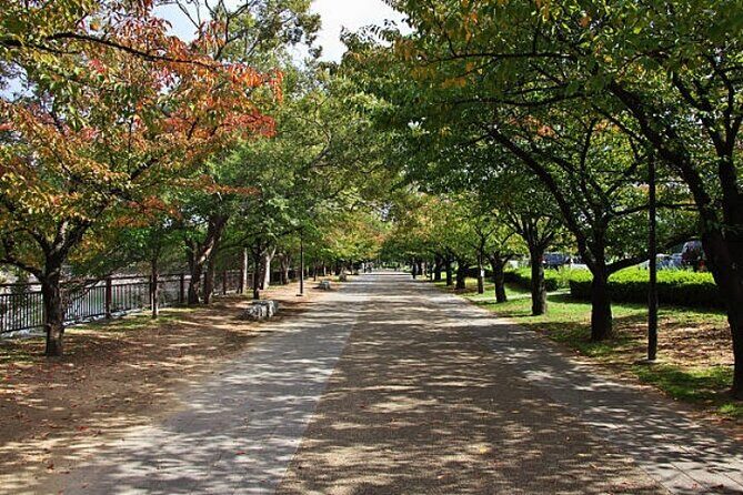 Private Full Day Himeji and Kobe Day Tour - Summary: Why Choose This Tour?