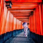 Private Full Day Kyoto HIghlights with Pick-Up and Drop-Off - Practical Details and What to Expect