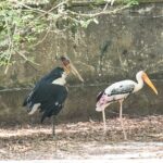 Private Full Day Mekong Delta Tour to Dong Thap Muoi Wetlands - Who Should Consider This Tour?