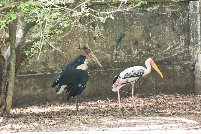 Private Full Day Mekong Delta Tour to Dong Thap Muoi Wetlands - Who Should Consider This Tour?