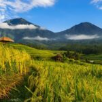 Private Full-Day Tour: Discover The Best of Bali Destination - The Sum Up