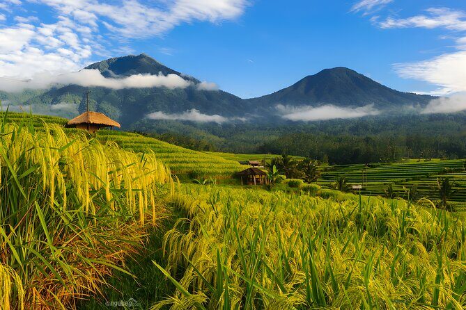 Private Full-Day Tour: Discover The Best of Bali Destination - The Sum Up