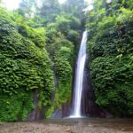 Private Full-Day Tour : North Bali Trip to Discover The Culture of Bali Island - Why This Tour Offers Good Value