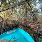 Private Galle Day Tour with River Safari, Stilt fishing & Turtles - Who Should Consider This Tour?