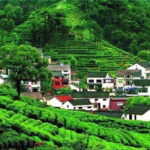 Private Guide Service - Who Will Love This Tour?