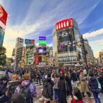 Private Guided 1/2-Day Walking Subway Tour in Tokyo (English) - A Deep Dive into the Tour Experience