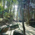 Private Guided Mt. Kunimi Trek - A Balanced View: Pros and Cons