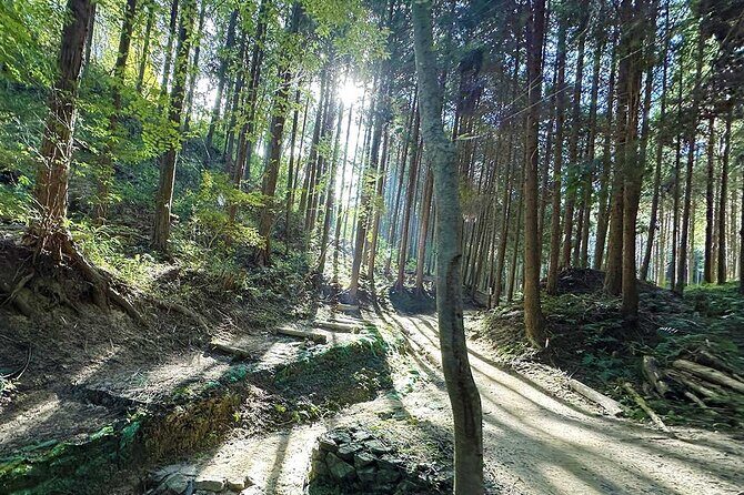 Private Guided Mt. Kunimi Trek - A Balanced View: Pros and Cons