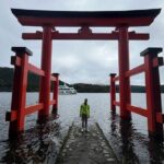 Private Hakone Full-day Car Tour with Hotel Pickup - Local Guide - Exploring Hakone in Comfort and Style