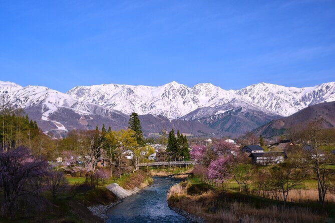 Private Hakuba Customizable Full Day Tour - Who Will Love This Tour?