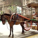 Private Half-Day Shore Excursion Old Manila by Calesa - An In-Depth Look at the Old Manila Calesa Tour