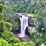 Private Half Day-Tour: Ubud Art Village Trip - Who Will Love This Tour?