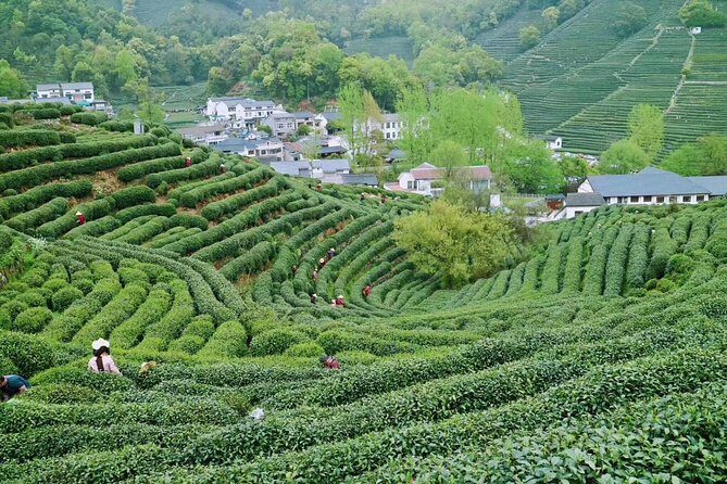 Private Hangzhou Day Tour from Shanghai by Bullet Train - Who Is This Tour Best For?