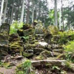 Private Hiking Activity near Tokyo - A Fresh Perspective: What to Expect on Your Hiking Day