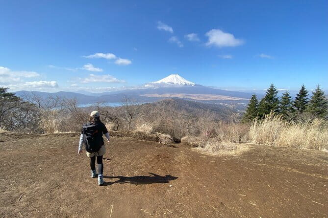 Private Hiking Tour to View Mt. Fuji - Final Thoughts: Is It Worth It?