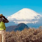 Private Hiking Tour with a certified national guide in Hakone - Who Should Consider This Tour?