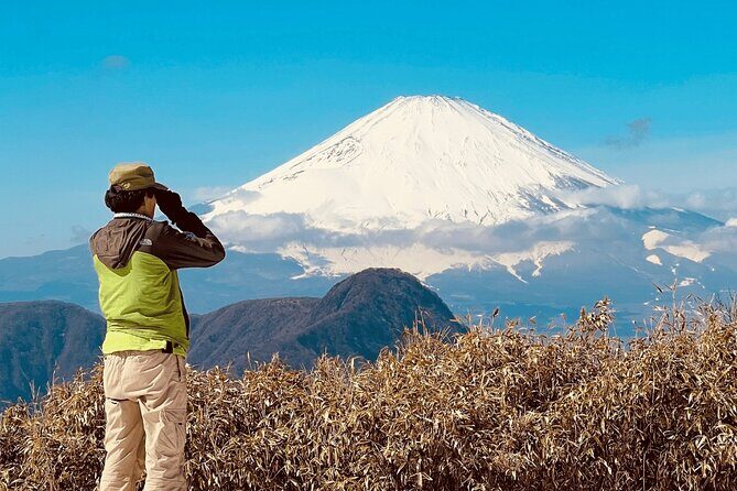 Private Hiking Tour with a certified national guide in Hakone - Who Should Consider This Tour?