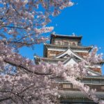 Private Hiroshima Cherry Blossom and Sakura Experience - Practical Details: What to Expect