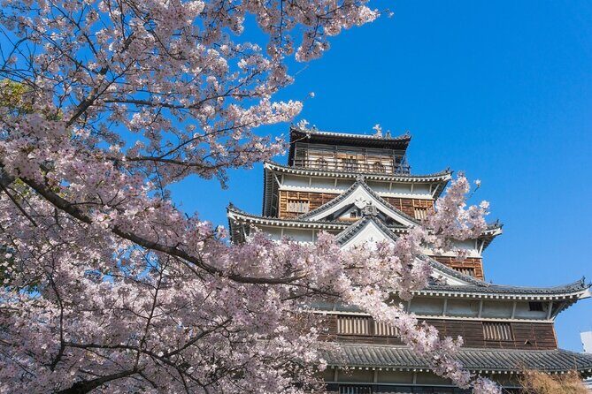 Private Hiroshima Cherry Blossom and Sakura Experience - Practical Details: What to Expect