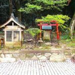 Private Historic Road Hike in the Healing Forest of Arima - What We Loved About the Tour