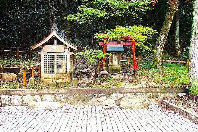 Private Historic Road Hike in the Healing Forest of Arima - What We Loved About the Tour