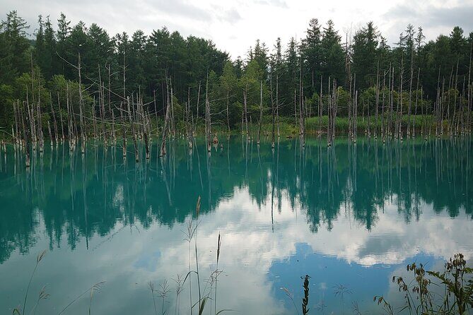 Private Hokkaido Guided 5 Day Tour with Transportation - Frequently Asked Questions