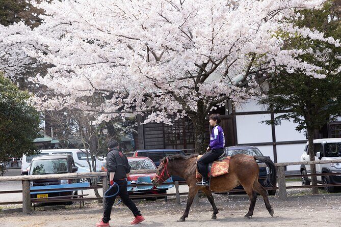 Private Horse Interaction Experience near Mt. Fuji - Who Would Enjoy This Tour?