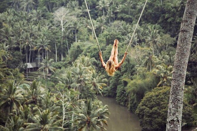 Private Inclusive Tour: The Best Of Ubud With Jungle Swing - An In-Depth Look at the Tour Experience