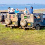 Private Jeep Safari at Minneriya National Park - A Detailed Look at the Experience