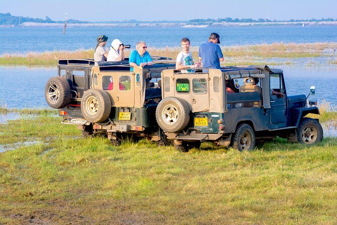 Private Jeep Safari at Minneriya National Park - A Detailed Look at the Experience