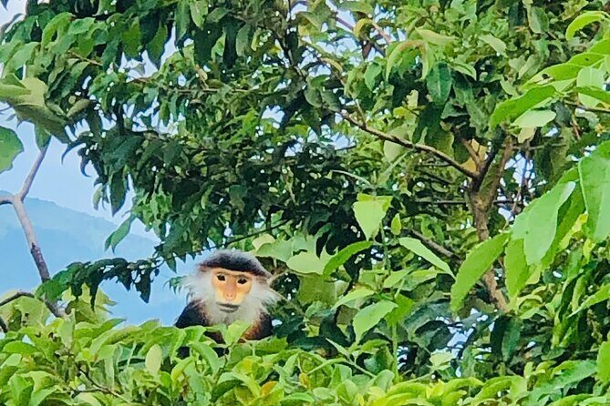 Private Jeep tour Marble and Monkey Mountains -Son Tra Peak - The Sum Up