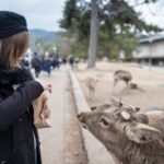 Private Journey in Naras Historical Wonder - What Does This Tour Mean for You?