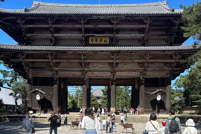 Private Kyoto  Nara Customized Day Tour With English Guide & Veh - The Sum Up