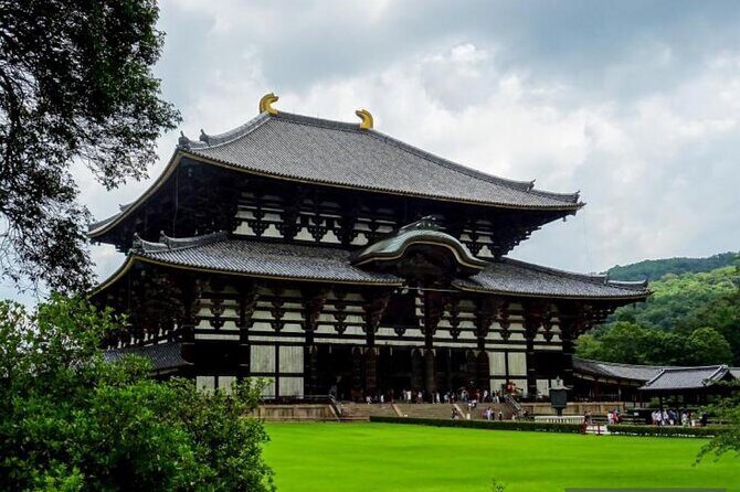 Private Kyoto-Nara Tour from Osaka with Hotel Pickup and Drop off - What the Tour Does Well