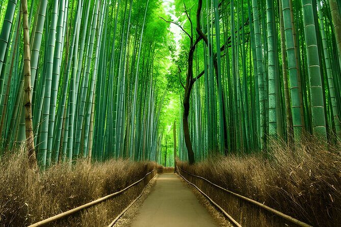 Private Kyoto Sightseeing Tour with Licensed Green-Plate Vehicle - Frequently Asked Questions