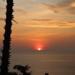 Private local city tour with english speaking driver - Who Is This Tour Best For?