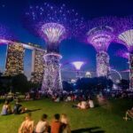 Private :Magical Nights in River Cruises and Stunning Light Shows - Why This Tour Offers Good Value