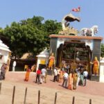 Private Mathura Vrindavan Tour from Delhi - An in-depth look at the Mathura Vrindavan tour experience