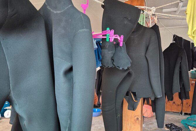 Private Meeting with a Haenyeo: Jeju Shore Excursion - Exploring the Itinerary: What to Expect from Start to Finish