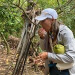 Private Mekong Orchard Visit Non Tourist - Who Would Love This Tour?