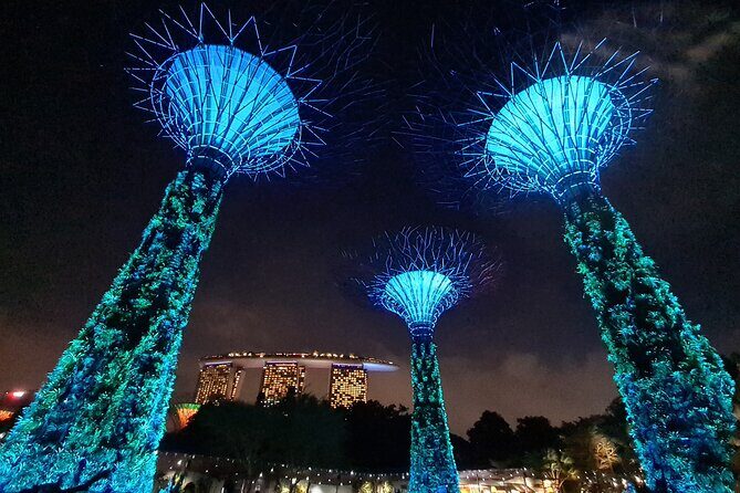 Private Mini-Bus Transfer to Attractions in Singapore - Real Reviews Paint a Clear Picture